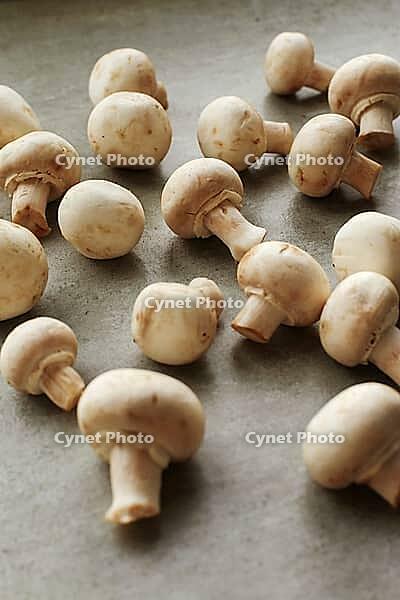 Fungus. Mushrooms on the table [IBR124724836]