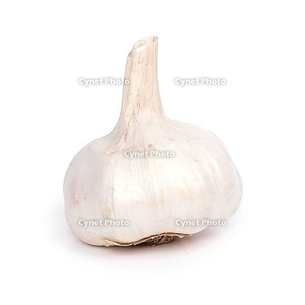 Garlic on a white background [IBR124724850]