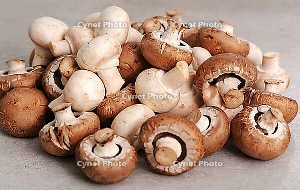 Fungus. Mushrooms on the table [IBR124724860]