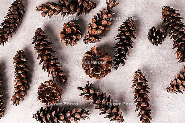 Christmas theme. Pine cones on the table [IBR124724896]