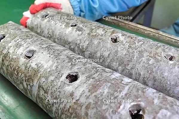 Preparation, of mushroom briquettes for use - perforation and laying of mushroom mycelium [IBR124748908]