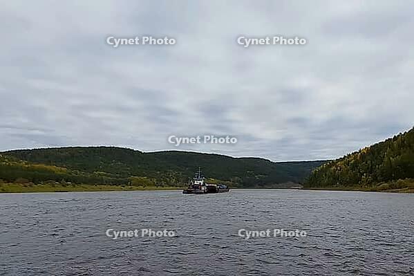 Transportation of pipes by barge along the river for the installation of a gas pipeline. The barge is towed by a small tug [IBR124748927]