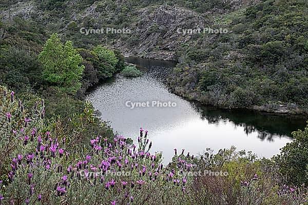 Curved reservoir water bordered by maquis shrubs and rocky slopes [IBR124748933]