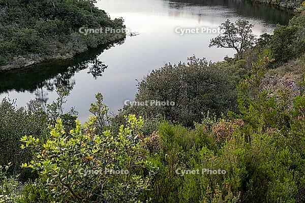 Curved reservoir water bordered by maquis shrubs and rocky slopes [IBR124748937]
