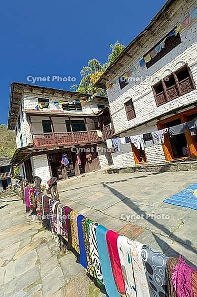 Rest Area, Small Village, Ghest House, Trek to Annapurna Base Camp, Annapurna Conservation Area, Himalaya, Nepal, Asia [IBR124794783]