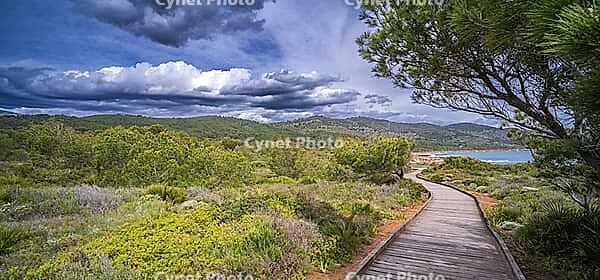 Walking Coast Path, Sierra de Irta Natural Park, Costa de Azahar, Bajo Maestrazgo, Castellón, Comunidad Valenciana, Spain [IBR124794784]