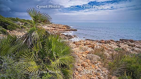 Walking Coast Path, Sierra de Irta Natural Park, Costa de Azahar, Bajo Maestrazgo, Castellón, Comunidad Valenciana, Spain [IBR124794785]