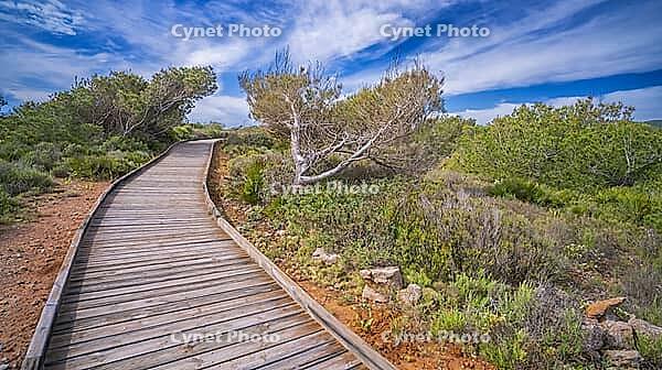 Walking Coast Path, Sierra de Irta Natural Park, Costa de Azahar, Bajo Maestrazgo, Castellón, Comunidad Valenciana, Spain [IBR124794786]