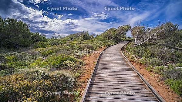 Walking Coast Path, Sierra de Irta Natural Park, Costa de Azahar, Bajo Maestrazgo, Castellón, Comunidad Valenciana, Spain [IBR124794791]