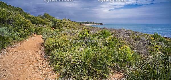 Walking Coast Path, Sierra de Irta Natural Park, Costa de Azahar, Bajo Maestrazgo, Castellón, Comunidad Valenciana, Spain [IBR124794814]
