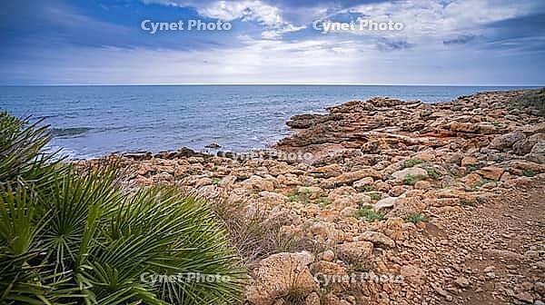 Walking Coast Path, Sierra de Irta Natural Park, Costa de Azahar, Bajo Maestrazgo, Castellón, Comunidad Valenciana, Spain [IBR124794816]
