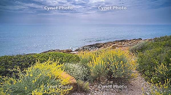 Walking Coast Path, Sierra de Irta Natural Park, Costa de Azahar, Bajo Maestrazgo, Castellón, Comunidad Valenciana, Spain [IBR124794824]