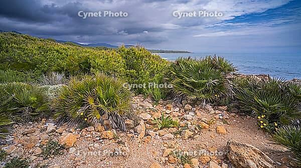 Naturpark Sierra de Irta, Spanien [IBR124794827]