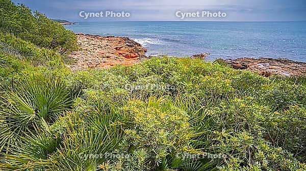 Walking Coast Path, Sierra de Irta Natural Park, Costa de Azahar, Bajo Maestrazgo, Castellón, Comunidad Valenciana, Spain [IBR124794833]
