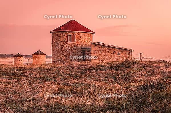 Old traditional wind-mills in sand-hills of Apulia Portugal [IBR124817889]