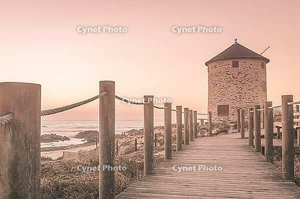 Old traditional wind-mill in sand-hills of Apulia Portugal [IBR124817890]