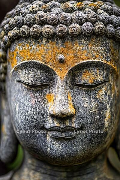 Traditional Buddha statue in a garden, Buddhism, meditation, generative AI, AI generated [IBR124891319]
