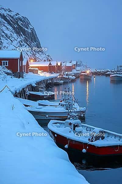 Hamnøy harbour in winter in Lofoten at dusk, Generative AI, AI generated [IBR124891389]