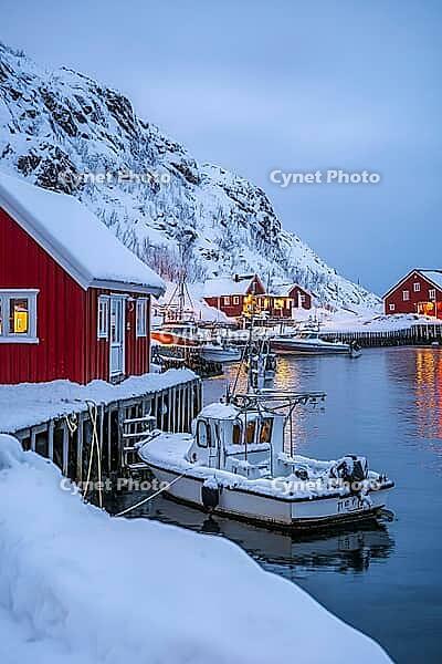Hamnøy harbour in winter in Lofoten at dusk, Generative AI, AI generated [IBR124891394]