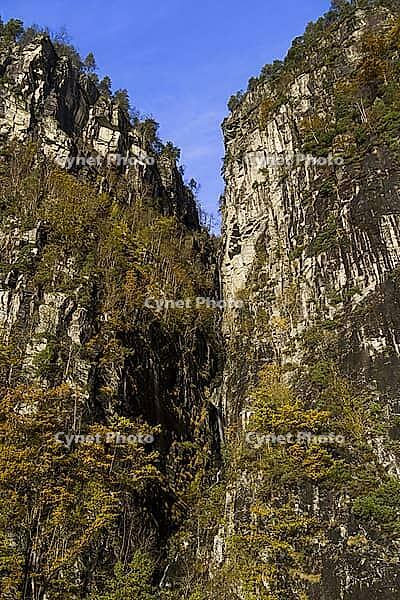 Norway Straumen, Mostraumen Fjord [IBR124897437]