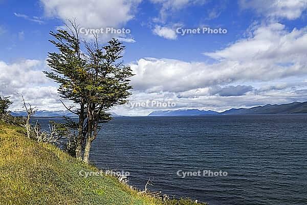 Argentina? Tolhuin, Lake Fagnano [IBR124897458]