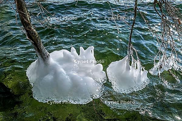Ice formation on branches in winter at Lake Starnberg, Bavaria, Germany [IBR124898929]