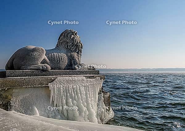 Bavarian lion covered in ice on an icy winter day in Tutzing am Starnberger See, Upper Bavaria, Bavaria, Germany [IBR124898930]