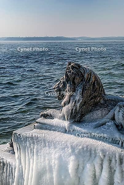 Bavarian lion covered in ice on an icy winter day in Tutzing am Starnberger See, Upper Bavaria, Bavaria, Germany [IBR124898931]