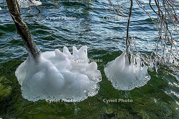 Ice formation on branches in winter at Lake Starnberg, Bavaria, Germany [IBR124898946]