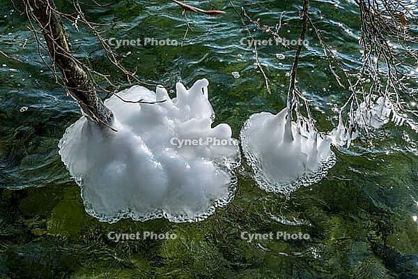 Ice formation on branches in winter at Lake Starnberg, Bavaria, Germany [IBR124898947]
