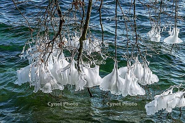 Ice formation on branches in winter at Lake Starnberg, Bavaria, Germany [IBR124898950]