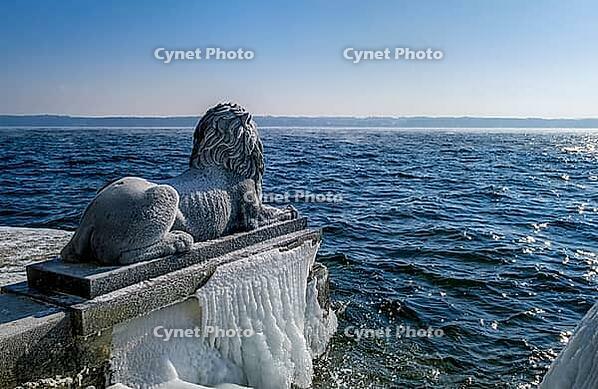 Bavarian lion covered in ice on an icy winter day in Tutzing am Starnberger See, Upper Bavaria, Bavaria, Germany [IBR124898952]