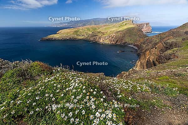 Cliff landscape by the sea, Ponta de Sao Lourenco, landscape at the eastern end of the island, Madeira Island, Portugal [IBR124899438]