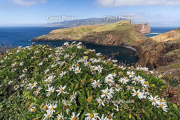 Cliff landscape by the sea, Ponta de Sao Lourenco, landscape at the eastern end of the island, Madeira Island, Portugal [IBR124899452]