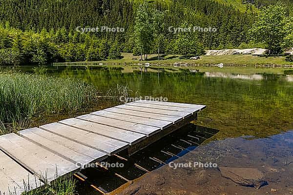 Landscape, panorama, idyll, Blausee, forest, relaxation, Neukirchen im Pinzgau [IBR124899479]