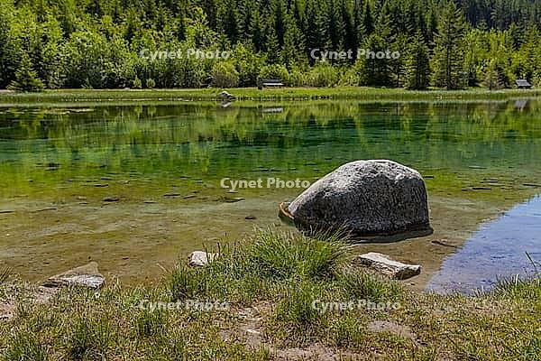 Landscape, panorama, idyll, Blausee, forest, relaxation, Neukirchen im Pinzgau [IBR124899482]