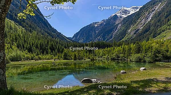 Landscape, panorama, idyll, Blausee, forest, relaxation, Neukirchen im Pinzgau [IBR124899483]