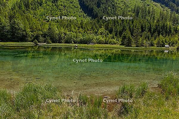 Landscape, panorama, idyll, Blausee, forest, relaxation, Neukirchen im Pinzgau [IBR124899484]