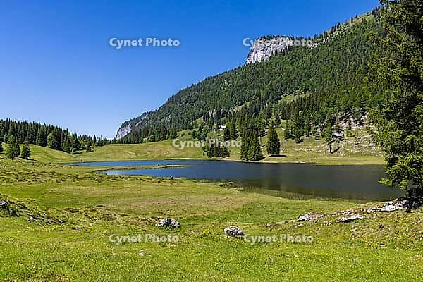 Landscape panorama, Seewaldsee, St. Koloman, Tennengau, alpine pastures, hiking, relaxation [IBR124899485]
