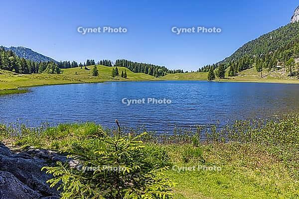 Landscape panorama, Seewaldsee, St. Koloman, Tennengau, alpine pastures, hiking, relaxation [IBR124899487]