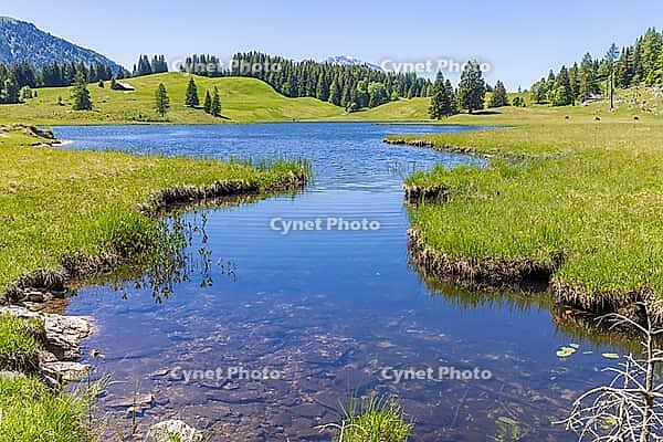 Landscape panorama, Seewaldsee, St. Koloman, Tennengau, alpine area, hiking, relaxation [IBR124899488]