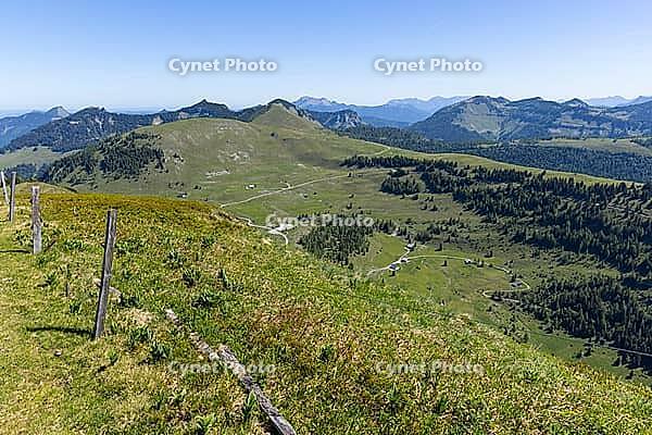 Landscape panorama, summit cross, mountains, alpine pasture, hikers, Tennengau, relaxation [IBR124899489]