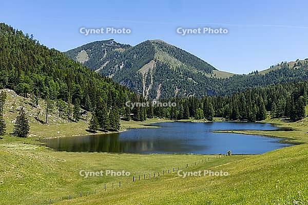 Landscape panorama, Seewaldsee, St. Koloman, Tennengau, alpine pastures, hiking, relaxation [IBR124899492]