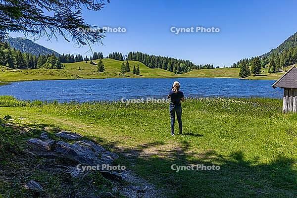Landscape panorama, Seewaldsee, St. Koloman, Tennengau, alpine pastures, hikers, relaxation [IBR124899493]