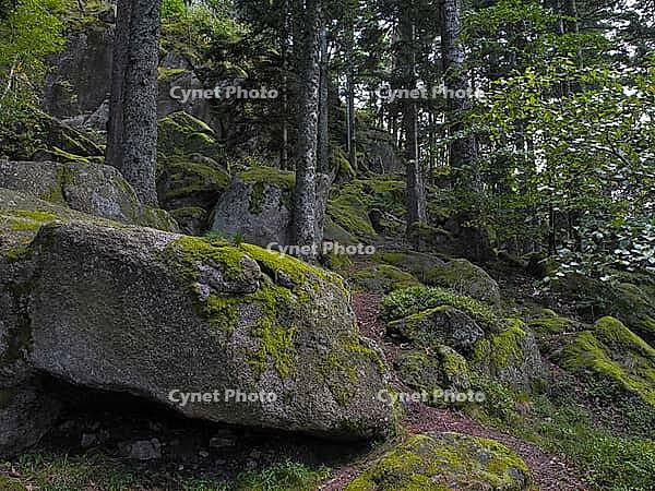 Moss rock, hiking trail, Black Forest, upper castle rock, Triberg, Baden-Württemberg, Germany [IBR124899505]