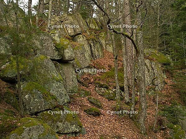 Igellochfelsen, Hornberg, Black Forest, Baden-Württemberg, Germany [IBR124899512]