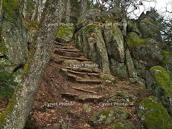 Igellochfelsen, Hornberg, Black Forest, Baden-Württemberg, Germany [IBR124899514]