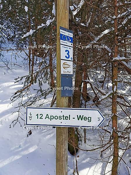A signpost in the snowy forest, which shows the 12 Apostles Trail, hiking in winter, Frankenwaldsteigla, Frankenwald nature park Park, Upper Franconia [IBR113249867]