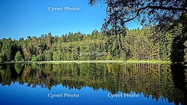 Quiet lake reflecting a forest under a clear blue sky, hiking in spring, Waldnaabtal nature reserve, Upper Palatinate [IBR124899537]