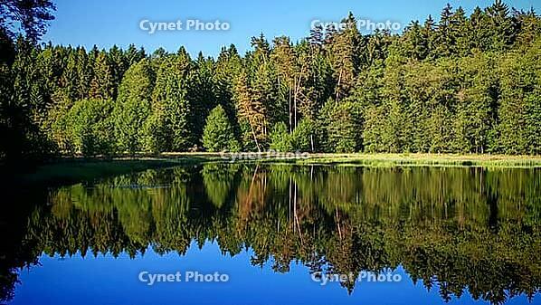 Natural lake with a reflection of the surrounding forest under a clear sky, hiking in spring, Waldnaabtal nature reserve, Upper Palatinate [IBR124899538]
